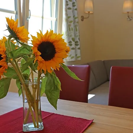 게스트하우스 Alpenperle 람자우 암 다흐스타인