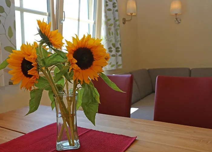 招待所 阿尔彭佩乐旅馆 拉姆绍达赫斯坦