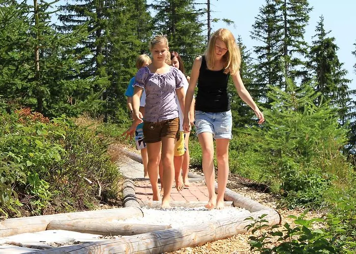 阿尔彭佩乐旅馆 3*