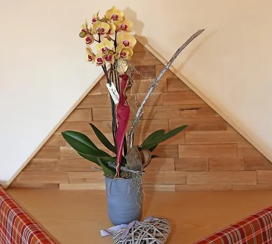 阿尔彭佩乐旅馆